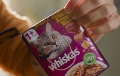 Whiskas | Feed Their Curiosity